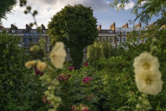 Flowers and trees against an urban backdrop, St James's Garden, Kensington, London, England, Great