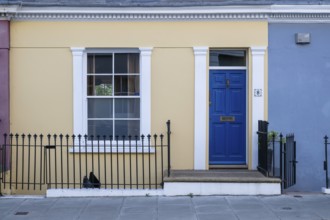 Colourful townhouse with blue door and yellow façade, surrounded by black fence, Kensington,