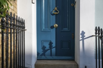 Blue door with brass-coloured door handle and wrought-iron grille in the sunlight, Kensington,