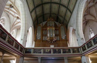 Protestant late Gothic St. Mary's Church, town church, with the organ by Friedrich Ladegast,