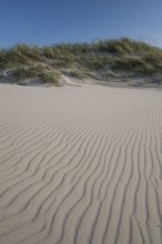 Dunes, wave pattern in the sand, beach grass, blue sky, Hvide Sande, North Sea, Denmark