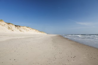 Wide beach with a view of the sea, Hvide Sande, North Sea, Denmark