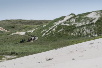 Grassy dunes and path with riders on horses in a wide dune landscape, Ringkøbing Fjord, North Sea,