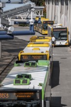 Public transport stop, bus station, local buses in Essen-Steele, bus and S-Bahn junction, Essen,