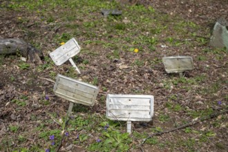 Pikeville, Kentucky - Grave markers with only a number to identify the deceased in the Dils