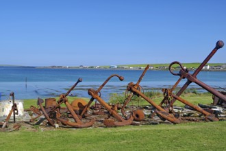 Rusty anchors in a meadow on the coast with sea in the background, Pierowal, Westray, Orkney