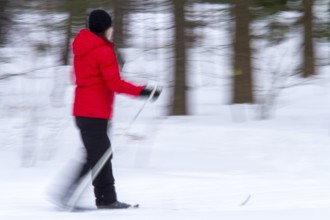 Person skiing, Slow motion image, City of Montreal, Province of Quebec, Canada, North America