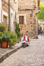 Scooter standing outside a house on the city street with lush green plants in pots on the pavement