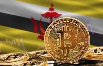 Investors in cryptocurrency and Blockchain Technology in Brunei, Concept. Bitcoin with Brunei flag