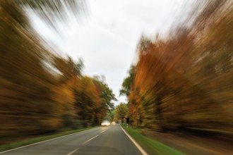 Country road through autumn forest, autumn leaves, oncoming traffic, light traces, cloudy weather,