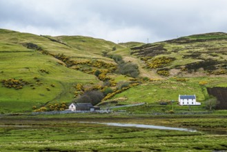Farms over Loch Harport, Drynoch, Isle of Skye, Scotland, UK