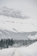 Winter road trip on the Icefields Parkway with lots of snow and ice, Banff National Park, Jasper