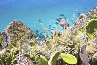 Rocks and wild vegetation overlook the turquoise sea, Ricadi, Capo Vaticano