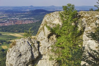 Breitenstein rock plateau with tree and panoramic view of fertile valley and mountains, Bissingen