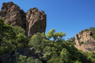 Gorge with red rocks, Gorges du Blavet, Bagnols-en-Forêt, near Saint-Raphaël, Massif de l'Esterel,