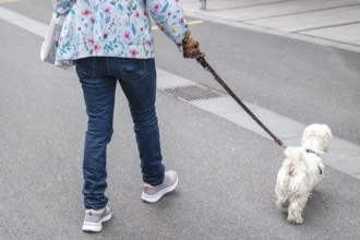 Woman with dog on a lead, Interlaken, Bern, Switzerland