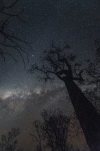 Milky Way Australian Outback, Australia