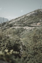 Road and landscape on Lake Garda, Italy