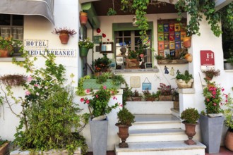 Staircase with many different flower pots, hotel entrance, Saintes-Maries-de-la-Mer, Camargue,