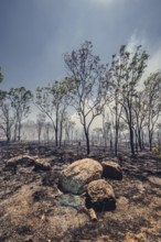 Bushfires in the Australian outback