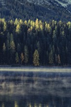 Autumn atmosphere on a cold morning in the Engadin in the Swiss Alps