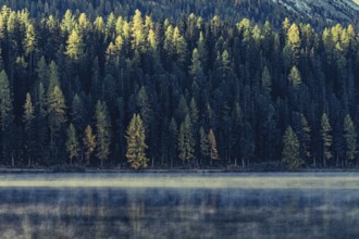 Autumn atmosphere on a cold morning in the Engadin in the Swiss Alps