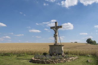 A crucifix, field cross stands in front of a grain field under a blue sky with clouds, Münsterland,