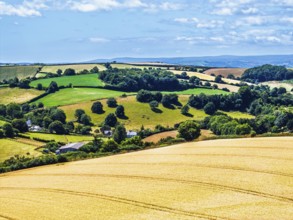 DefaultFarms and Fields over Torquay from a drone, Devon, England, United Kingdom