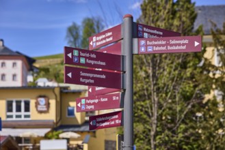 Tourist signposts, sights, general architecture, trees, depth of field, blue sky, cirrostratus