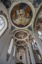 Side wing with dome paintings in St Martin's Church, Biberach an der Riß, Baden-Württemberg,