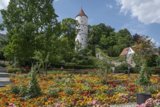 White tower on the Gigelberg, flowerbeds in front, Biberach an der Riß, Baden-Württemberg, Germany