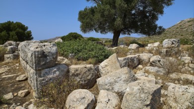 Rocky ruins and a large tree in a natural, unspoilt setting under a clear sky, Artemis Temple,