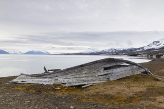 Broken wooden boat on the beach, mountain range, snow, sea, arctic spring, Bamsebu, Spitsbergen,