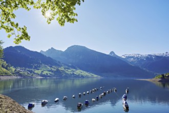 Motorboats moored at the reservoir, snow-covered Alps in the background, Lake Wägital, Canton