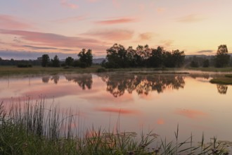Morning atmosphere at a pond in the Schoren nature reserve, Mühlau, Freiamt, Canton Aargau,
