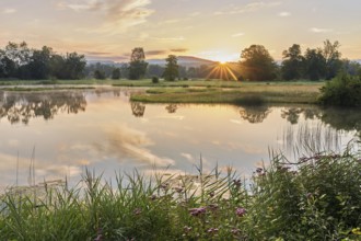 Sunrise at a pond in the Schoren nature reserve, Mühlau, Freiamt, Canton Aargau, Switzerland