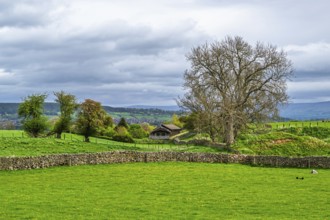 Farms, Pooley Bridge, Ullswater Lake, Lake District National Park, Cumbria, England, United Kingdom