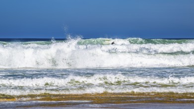 Surfer riding a wave on Contis beach, Saint Julien en Born, Saint-Julien-en-Born, Landes, France