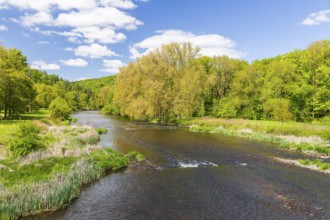 Zwickauer Mulder in Wechselburg, Saxony, Germany