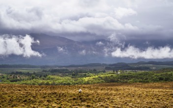 Nevis Range Mountains from Commando Memorial, Grampian Mountains, Fort William, Highland, Lochaber,
