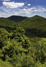 Siebengebirge, low mountain range on the right bank of the Rhine, Königswinter, North