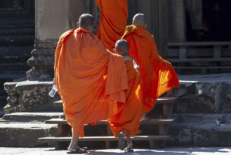 Buddhist monks and novices in orange monk's robes at the entrance to the Angkor Wat temple complex,