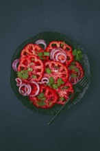 Freshly sliced tomatoes and red onions, garnished with herbs, on a black plate, summer salad, no