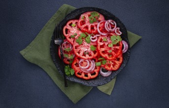 Freshly sliced tomatoes and red onions, garnished with herbs, on a black plate, summer salad, no