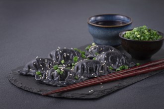 Japanese gyoza dumplings, made of black dough, black gyoza, with green onions and sauce, on a