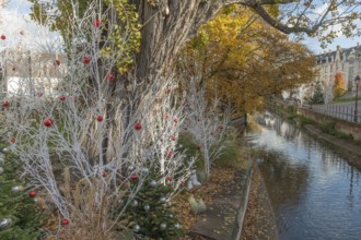 In a lively municipal park, white trees decorated with red and silver ornaments stand against a
