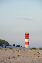 Red and white lighthouse on the beach surrounded by beach chairs, in the foreground a flock of