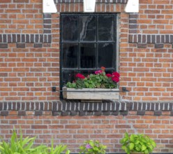A window in a brick wall with a flower box full of red geraniums surrounded by green plants,