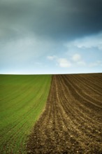 Lush green fields meet freshly plowed brown earth under a swirling sky filled with clouds, Limagne