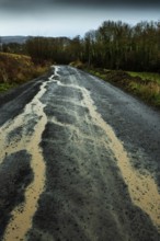A winding rural road shows signs of heavy rain, with puddles forming along its surface. Puy de Dome